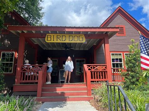 bird dog cafe laurel|Bird Dog of Laurel .